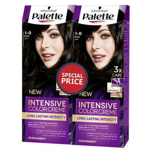 Palette Hair Intensive Color Creme Assorted 2pkt