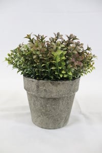 Home Style Bunga Dengan Pot Q1512