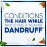 Head & Shoulders Moisturizing Anti-Dandruff Oil Replacement With Almond Oil 375 ml