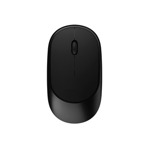 Trands 2.4G Wireless Portable Mouse for laptop, desktop and PCs, Plug and Play Optical Mouse MU257