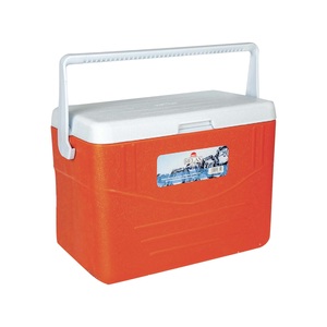 Relax Ice Box 30Ltr RLX1001-16 Assorted Colors