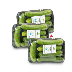 Organic Cucumber 3 x 500g