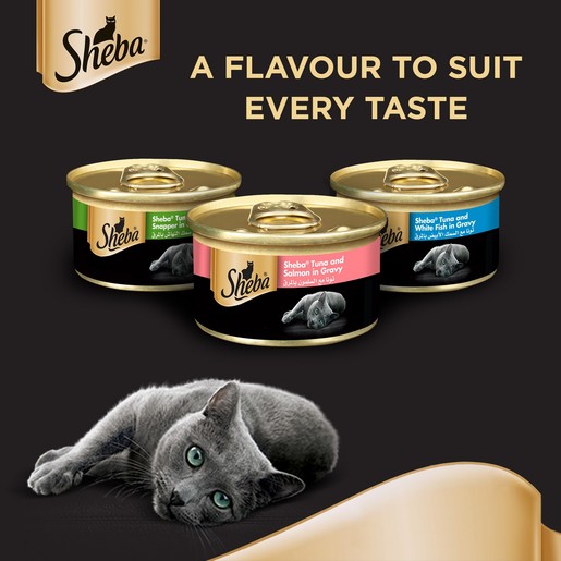Buy Sheba Tuna & White Fish Cat Food 85g Online Lulu Hypermarket Kuwait