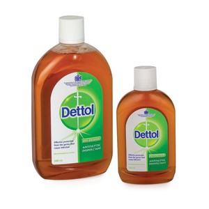 Dettol Liquid Anti Bacterial 250 ml + 500ml
