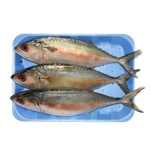 Fresh Ayala Fish 1kg