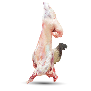 Saudi Fresh Whole Lamb Naimy Female 15-19kg