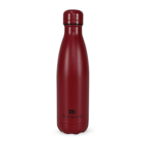 Tom Smith Double wall Stainless Steel Vacuum Bottle BESKL13 350ml