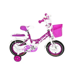 Skid Fusion Bicycle 12in KG2012 Assorted Colors