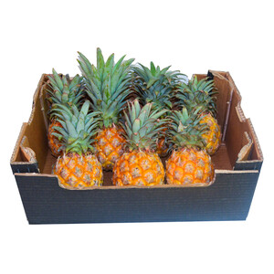 Baby Pineapple South Africa Box
