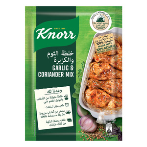 Knorr Garlic & Coriander Mix 37g