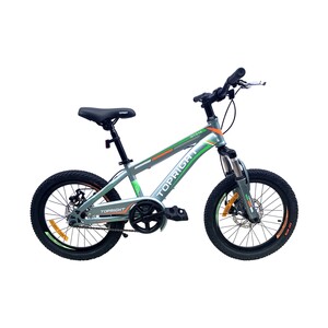 Skid Fusion Bicycle 18