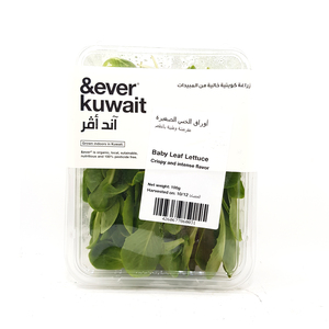 &Ever Kuwait Baby Leaf Lettuce 100g