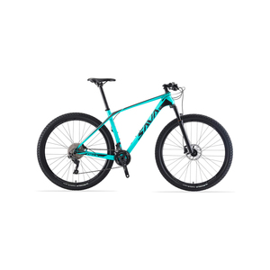 Sava Carbon Mountain Bike Tail MTB Bicycle 6.0 29