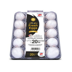 Al Ain Fresh White Eggs Extra Large 20pcs