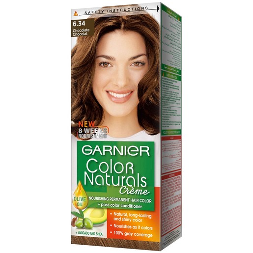 Buy Garnier Color Naturals 6.34 Chocolate Hair Color 1