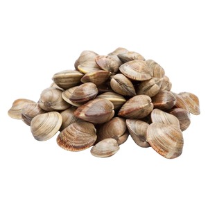 Clams Big With Shell 1kg