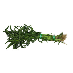 Kangkung Root Leaves 250g Approx. Weight