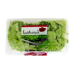 Lushious Lettuce Oakleaf Green 150g Approx. Weight