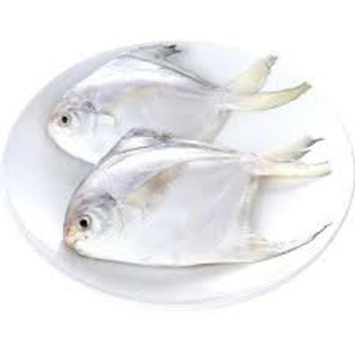 White Pomfret Small 1Kg Approx Weight