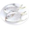 White Pomfret Small 1Kg Approx Weight