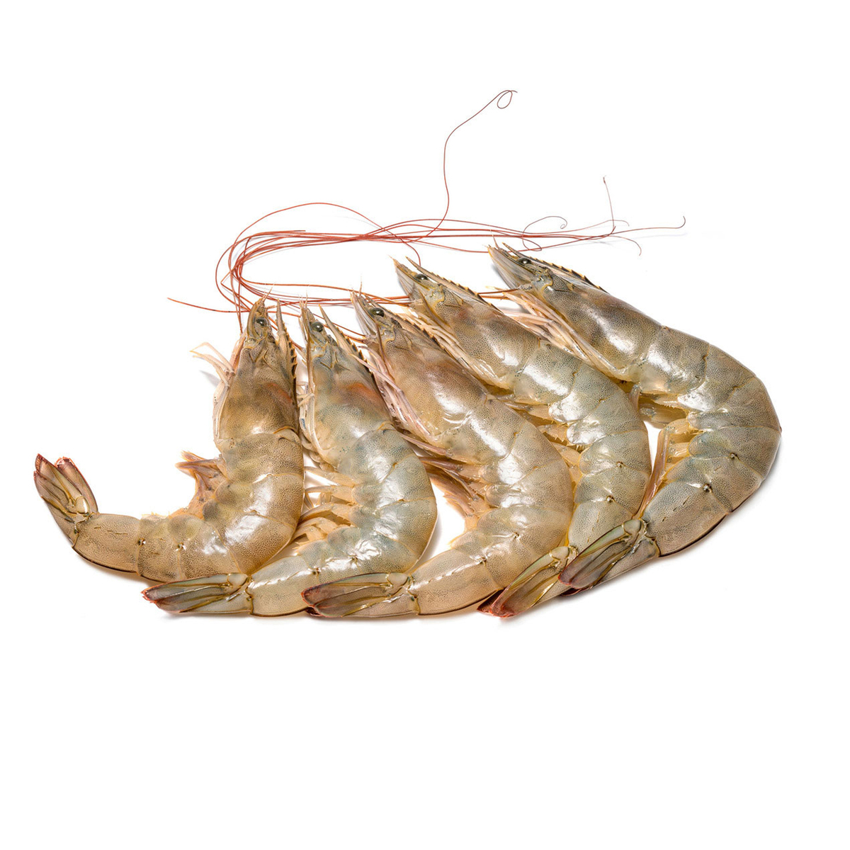 Prawns Large 500g Approx Weight