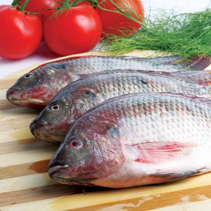 Tilapia Fish 1kg