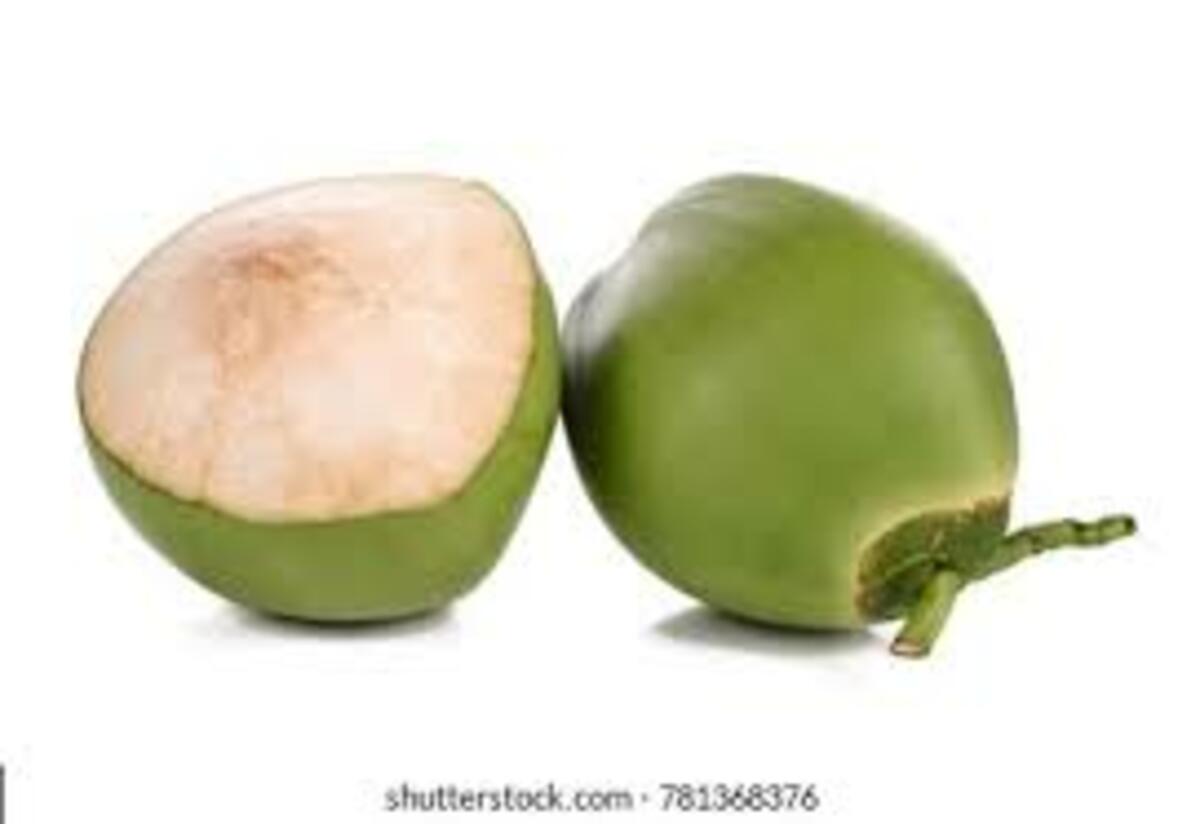 Tender Coconut 1Pcs