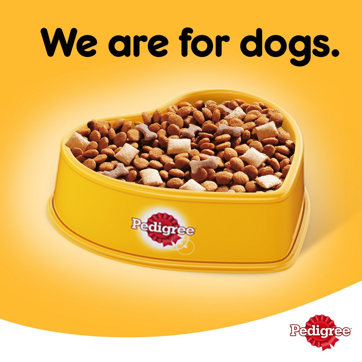 Image result for pedigree DRY dog food